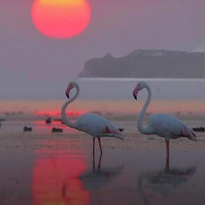Suite Sardinia Holiday